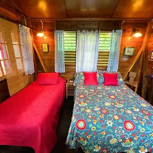 Hostel Judy House And, Negril